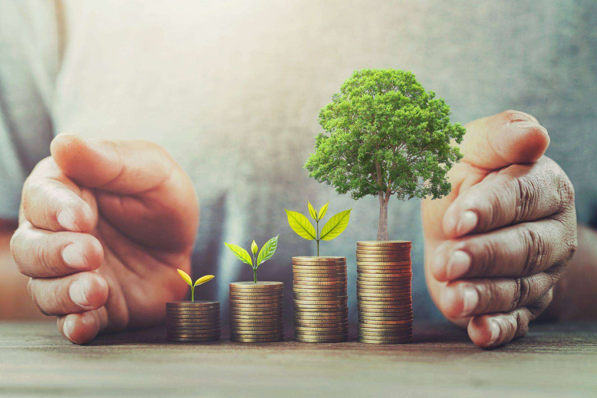 VIP Class Investments Lanza Nuevos Planes de Inversión para Asegurar el Futuro Financiero de las Nuevas Generaciones